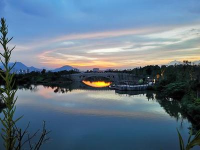 文章附图